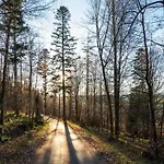 Group Getaway In Brilon-wald