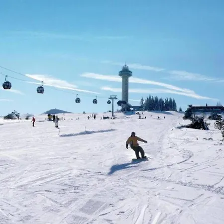 In Near The Slopes *