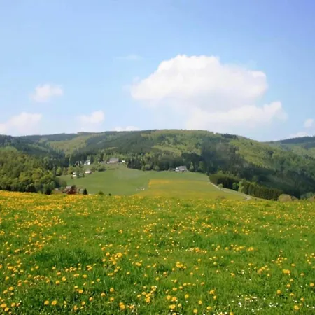 Holiday home In Near The Slopes