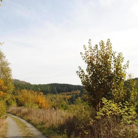 Group Getaway In Brilon-wald *