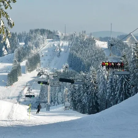 In Near The Slopes
