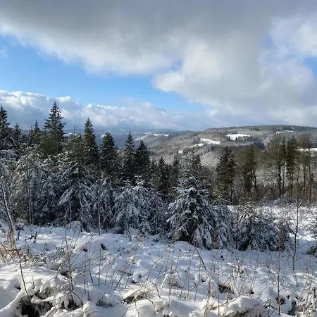 In Near The Slopes * Brilon