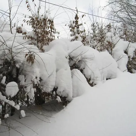 In Near The Slopes Holiday home Brilon