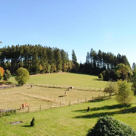 Group Getaway In Brilon-wald Casa de Férias Brilon