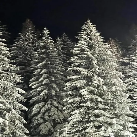 Group Getaway In Brilon-wald Feriehus Brilon