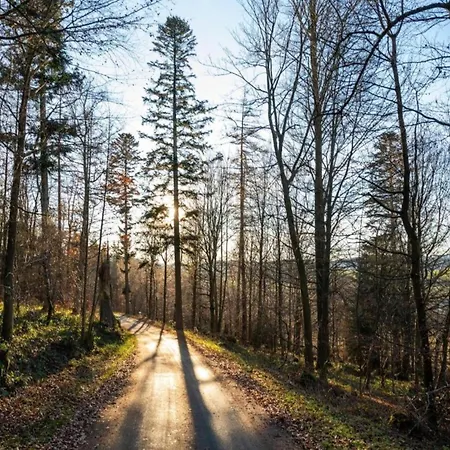 Group Getaway In Brilon-wald