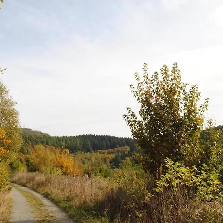 Group Getaway In Brilon-wald Feriehus