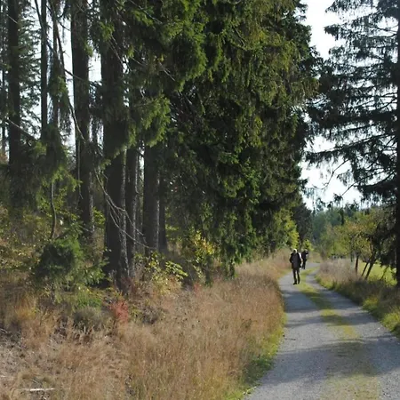 Feriehus Group Getaway In Brilon-wald