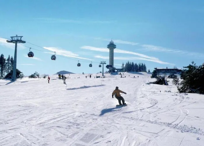 Group Getaway In Brilon-wald *