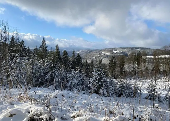 Group Getaway In Brilon-wald Brilon