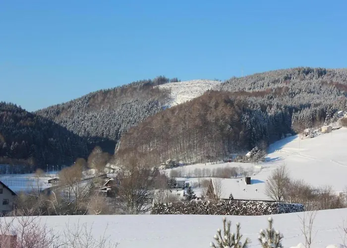 Group Getaway In Brilon-wald