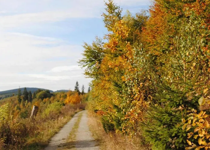 Casa de Férias Group Getaway In Brilon-wald