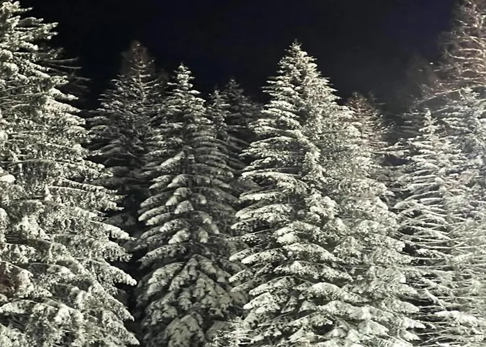 Group Getaway In Brilon-wald Casa de Férias Brilon