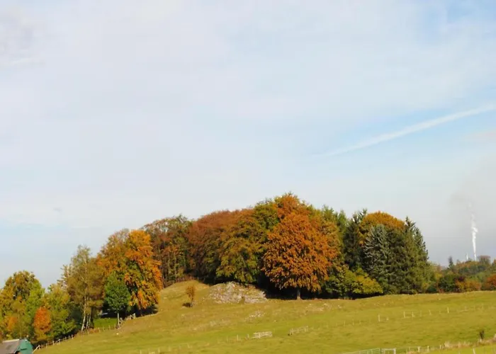 Group Getaway In Brilon-wald Brilon