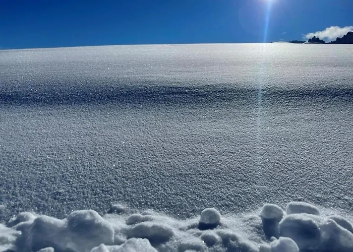 Group Getaway In Brilon-wald * Brilon