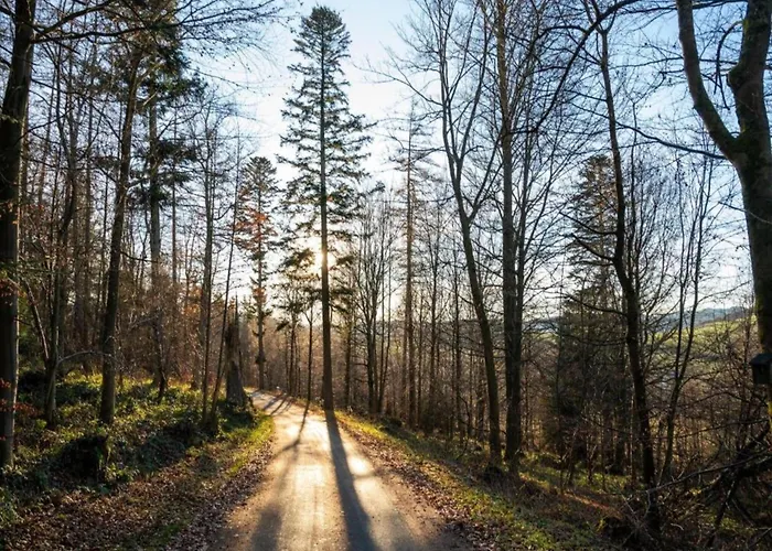 Group Getaway In Brilon-wald