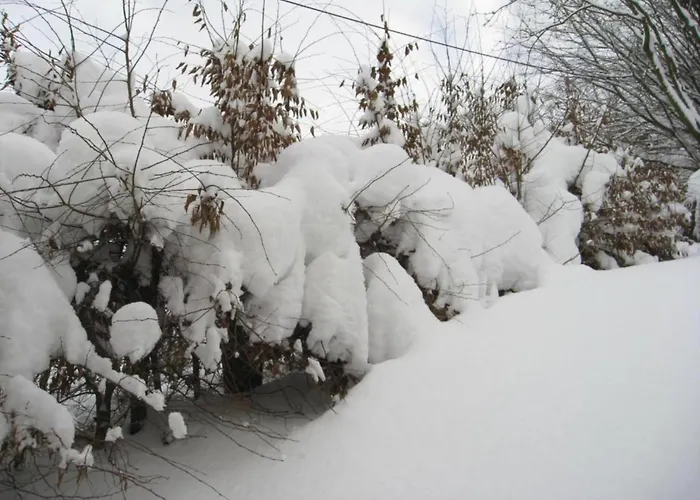 Group Getaway In Brilon-wald Casa de Férias *