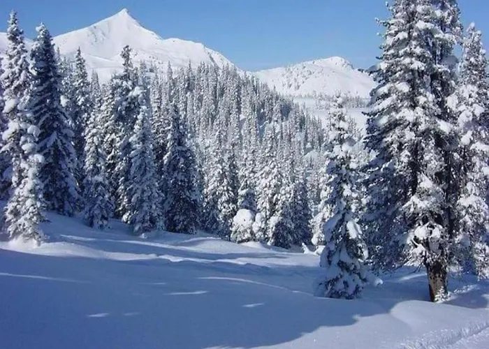 Group Getaway In Brilon-wald Casa de Férias *